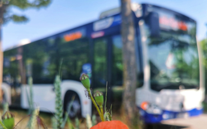 PaderSprinter-Bus in den Sommerferien